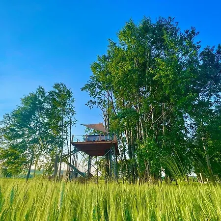 Zeleny Ostroff Treehouse * Jirikov (Usti nad Labem)