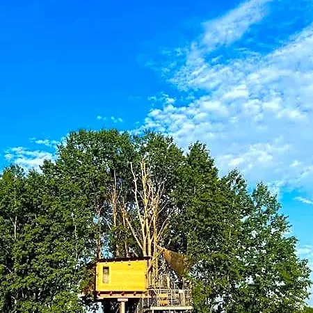 Zelený Ostroff Treehouse *