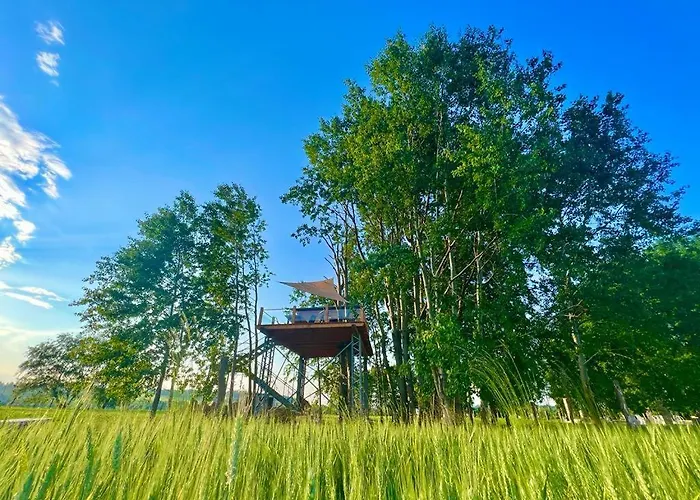 Zeleny Ostroff Treehouse * Jirikov (Usti nad Labem)