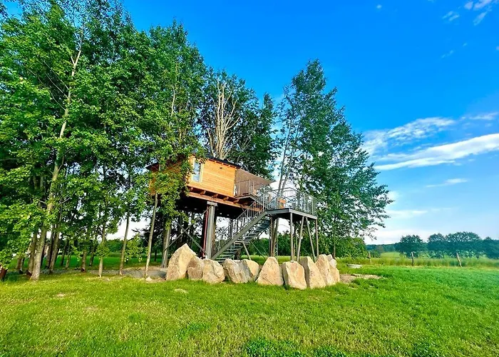 Zeleny Ostroff Treehouse *